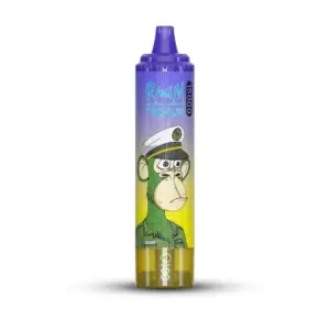 15K Randm - Blueberry Pomegranate